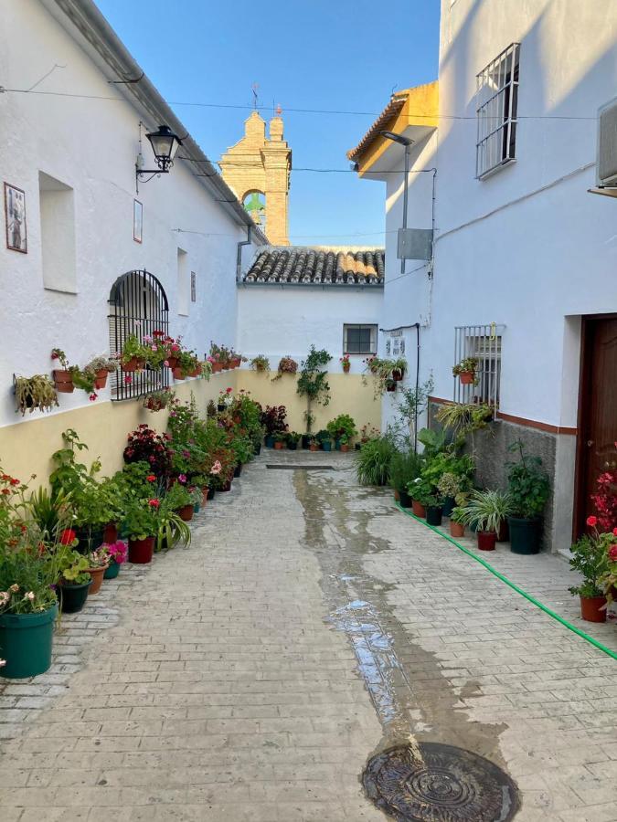 Apartamento Nuevo En Sierra Sur Sevilla Villanueva de San Juan Eksteriør billede