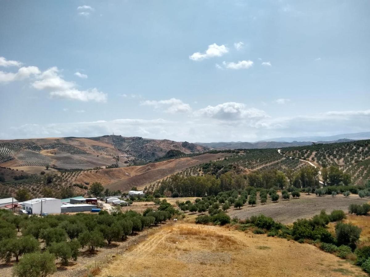 Apartamento Nuevo En Sierra Sur Sevilla Villanueva de San Juan Eksteriør billede